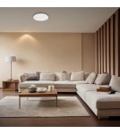 Modern ceiling lamps - Milagro Plafond ALLISTER 36W LED + remote control ML8231 - product 4