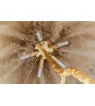 Floor lamps - King Home TIFFANY 175 floor lamp beige brass / natural feathers (JL0019.BEIGE) - product 4