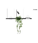Pendant lamps - Moosee MOOSEE pendant lamp PLANT black (MSE010100156) - product 1