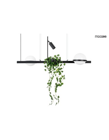 Moosee MOOSEE pendant lamp PLANT black (MSE010100156)