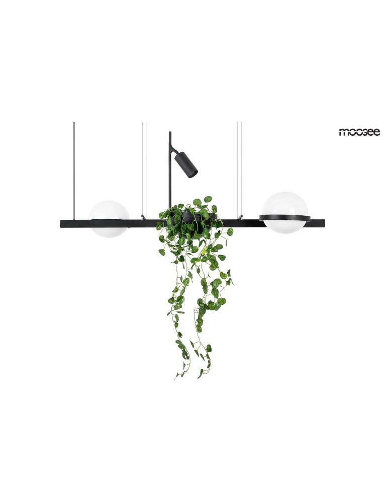 Pendant lamps - Moosee MOOSEE pendant lamp PLANT black (MSE010100156) - product kolory-swiatla.pl 1
