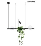Pendant lamps - Moosee MOOSEE pendant lamp PLANT black (MSE010100156) - product 2
