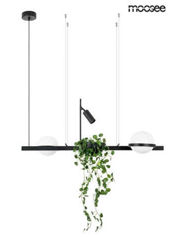 Moosee MOOSEE lampa wisząca PLANT czarna (MSE010100156) - produkt 2