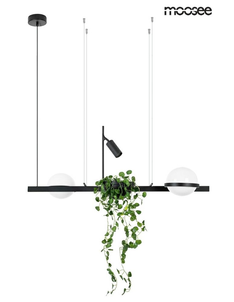 Pendant lamps - Moosee MOOSEE pendant lamp PLANT black (MSE010100156) - product kolory-swiatla.pl 2