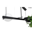 Pendant lamps - Moosee MOOSEE pendant lamp PLANT black (MSE010100156) - product 3