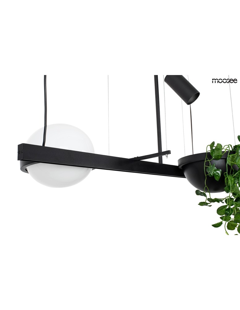 Pendant lamps - Moosee MOOSEE pendant lamp PLANT black (MSE010100156) - product kolory-swiatla.pl 3