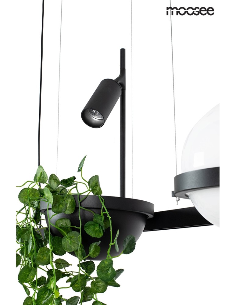 Pendant lamps - Moosee MOOSEE pendant lamp PLANT black (MSE010100156) - product kolory-swiatla.pl 4