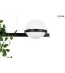 Pendant lamps - Moosee MOOSEE pendant lamp PLANT black (MSE010100156) - product 5