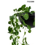 Pendant lamps - Moosee MOOSEE pendant lamp PLANT black (MSE010100156) - product 6