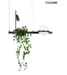 Pendant lamps - Moosee MOOSEE pendant lamp PLANT black (MSE010100156) - product 7