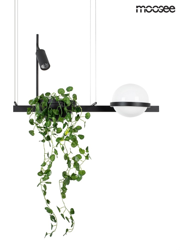 Pendant lamps - Moosee MOOSEE pendant lamp PLANT black (MSE010100156) - product kolory-swiatla.pl 7