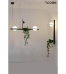 Pendant lamps - Moosee MOOSEE pendant lamp PLANT black (MSE010100156) - product 15