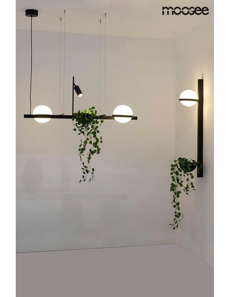 Pendant lamps - Moosee MOOSEE pendant lamp PLANT black (MSE010100156) - product kolory-swiatla.pl 15
