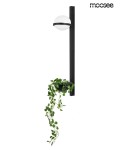 Designer wall lamps - Moosee MOOSEE PLANT WALL wall lamp black (MSE010400222) - product 1