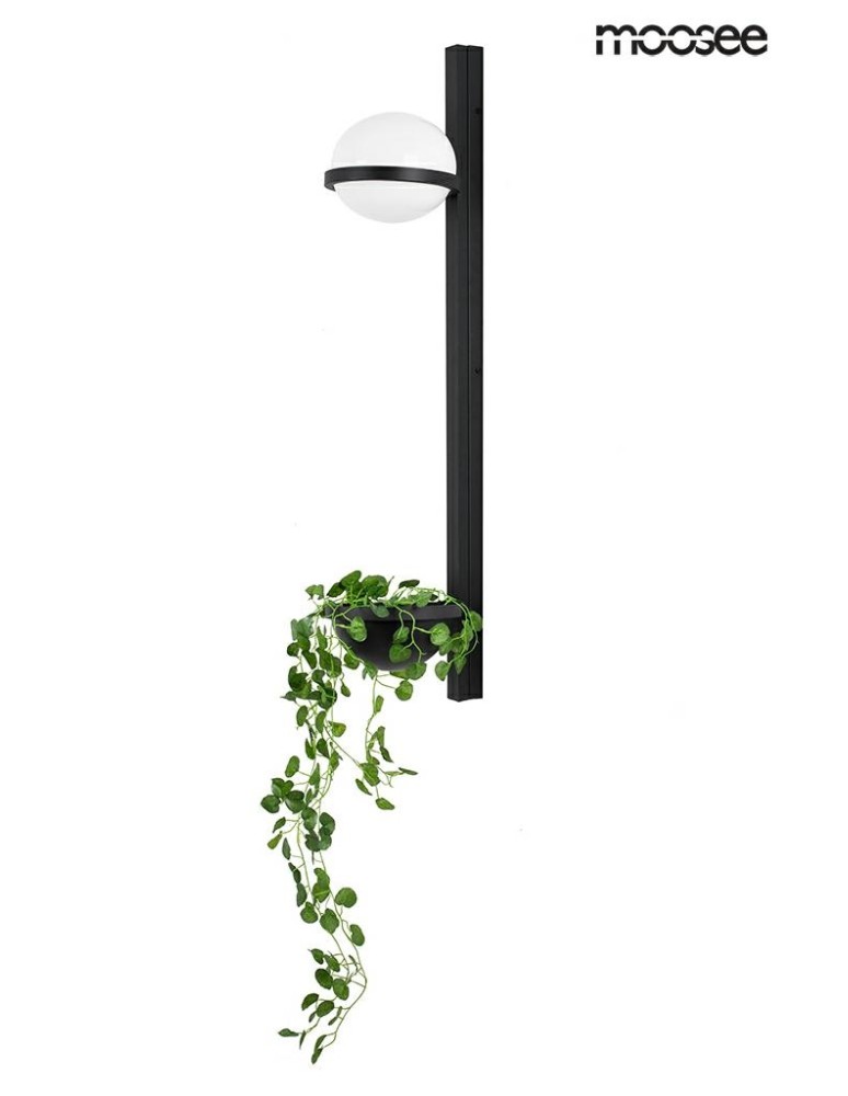 Designer wall lamps - Moosee MOOSEE PLANT WALL wall lamp black (MSE010400222) - product kolory-swiatla.pl 1