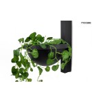 Designer wall lamps - Moosee MOOSEE PLANT WALL wall lamp black (MSE010400222) - product 2