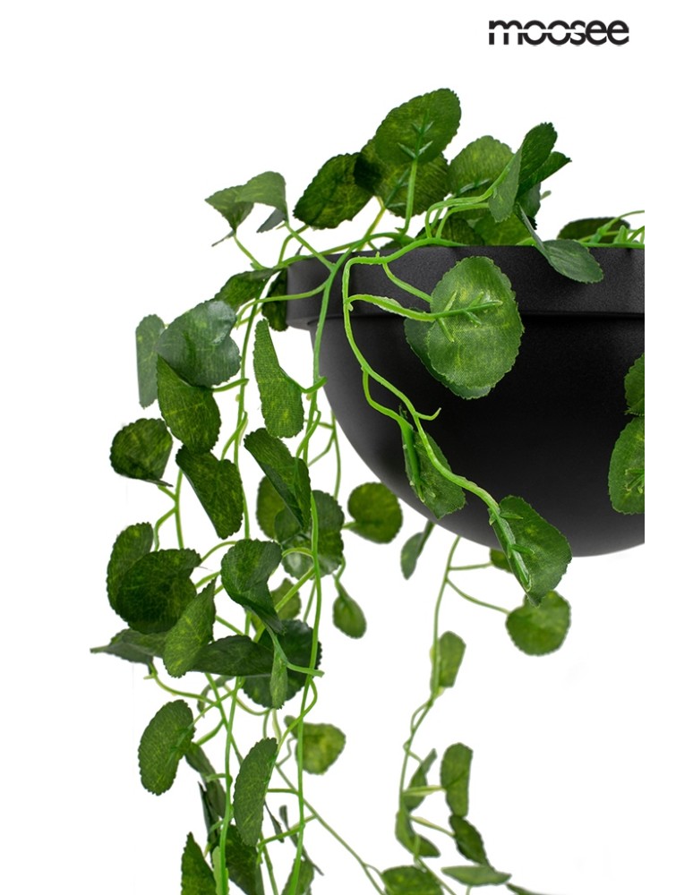 Designer wall lamps - Moosee MOOSEE PLANT WALL wall lamp black (MSE010400222) - product kolory-swiatla.pl 5