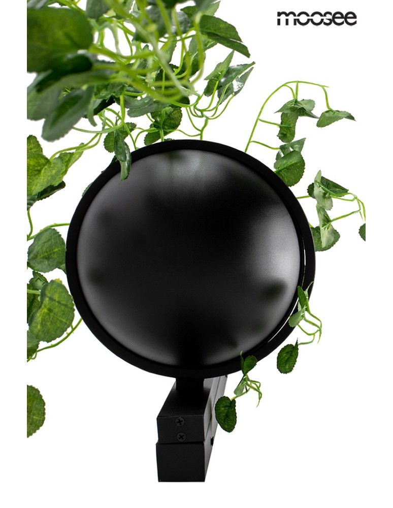 Designer wall lamps - Moosee MOOSEE PLANT WALL wall lamp black (MSE010400222) - product kolory-swiatla.pl 6