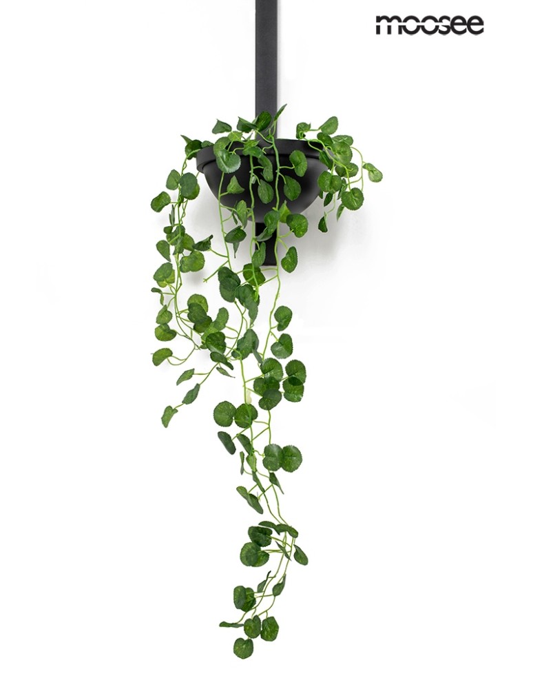Designer wall lamps - Moosee MOOSEE PLANT WALL wall lamp black (MSE010400222) - product kolory-swiatla.pl 7