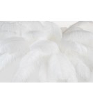 Floor lamps - King Home TIFFANY 175 floor lamp white brass/natural feathers (JL0019.WHITE) - product 3