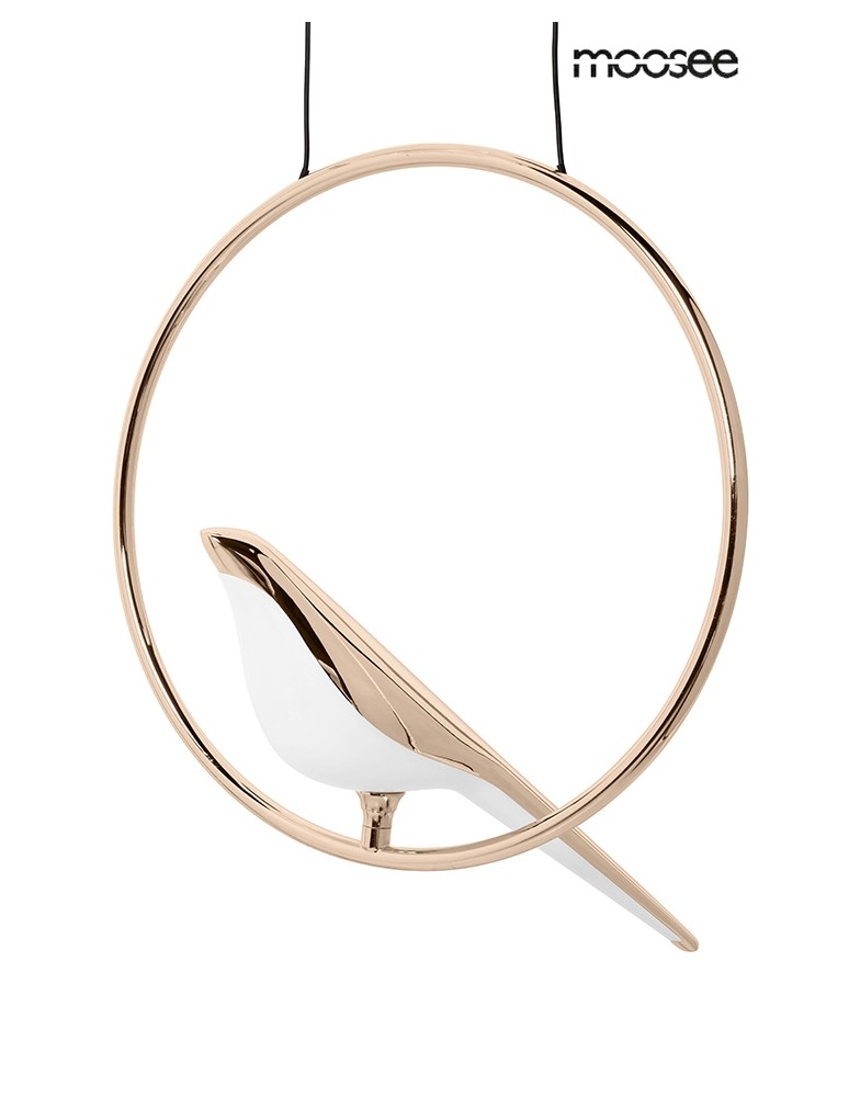 Designer pendant lamps - MOOSEE BIRD DISC gold pendant lamp (MSE010100294) - product kolory-swiatla.pl 2