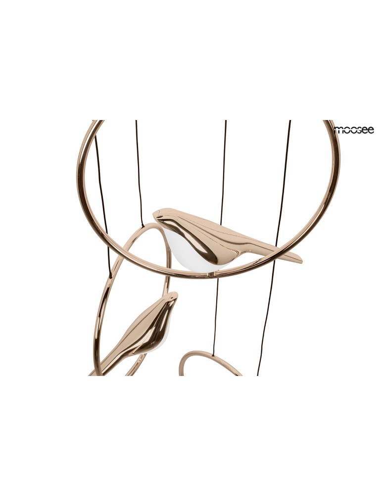 Designer pendant lamps - MOOSEE BIRD DISC gold pendant lamp (MSE010100294) - product kolory-swiatla.pl 6