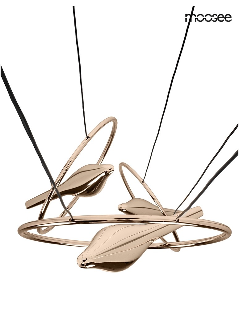 Designer pendant lamps - MOOSEE BIRD DISC gold pendant lamp (MSE010100294) - product kolory-swiatla.pl 7