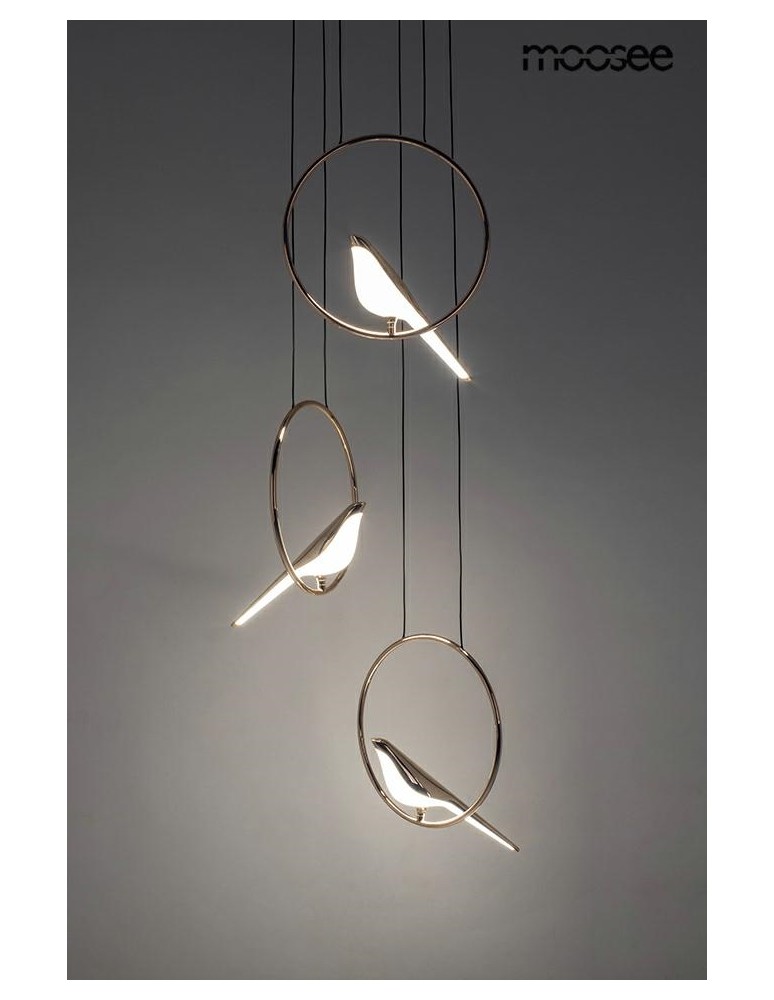 Designer pendant lamps - MOOSEE BIRD DISC gold pendant lamp (MSE010100294) - product kolory-swiatla.pl 9