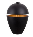 Small pendant lamps - Maxlight Cometshine LED 8W 480lm 3000K Pendant Lamp Black/Gold P0471. - product 3