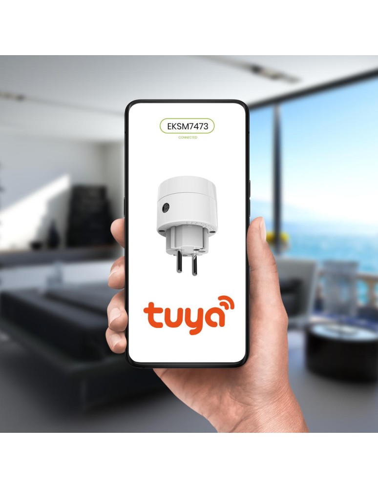 SMART extension cords and adapters - Eko-Light Tuya Smart Wi-Fi Plug Single 10A IP20 EKSM7473 - product kolory-swiatla.pl 6