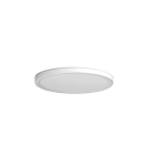 LED Plafonds - Azzardo PANKA 60 CCT SWITCH DIMM WH Ceiling Light with Dimmable and Light Colour Change Switch AZ5369 - product 1