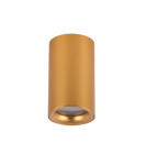 Bathroom ceiling lamps - Azzardo EIGER IP54 GO Surface Mount AZ5239. - product 1