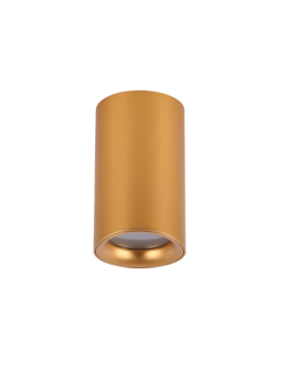 Azzardo EIGER IP54 GO Oprawa Natynkowa AZ5239