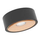 LED ceiling luminaires - Orlicki Design Neo Nero Slim LED / Ufo Gold Matte Black + Gold OR83996 - product 3