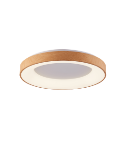Azzardo SANTANA TOP 60 CCT WO + REMOTE CONTROL Ceiling light with Remote Control Functions Dimming and Light Color Change...