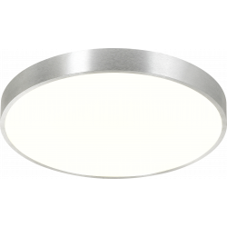 Zuma Line Sierra Lampa Sufitowa Srebrna/Silver CL12100008-SL