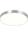 Zuma Line Sierra Silver/Silver Ceiling Lamp CL12100008-SL