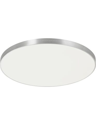 Zuma Line Sierra Silver/Silver Ceiling Lamp CL12100010-SL