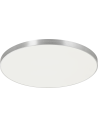 Zuma Line Sierra Silver/Silver Ceiling Lamp CL12100010-SL