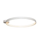 Ring ceiling lamps - Zuma Line Circle Ceiling Lamp LA0771 White matte. - product 1