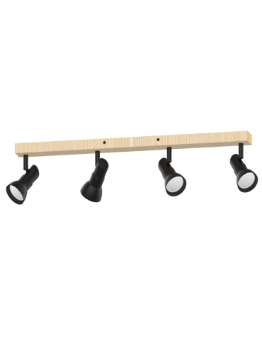 Zuma Line Trieste Ceiling Lamp JP01A-SP-04AS-BWD.373 matte black.