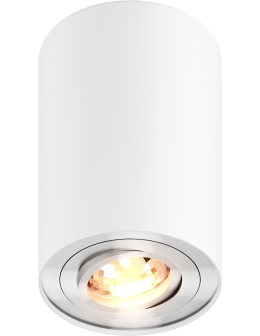 Zuma Line Rondoo Spot 45519-N biały