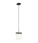 Single pendant lamps - Argon CANOA 1-fl. pendant lamp 1x15W (max) opal mat black 8276 - product 1