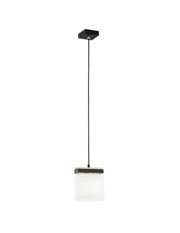Argon CANOA 1-fl. pendant lamp 1x15W (max) opal mat black 8276
