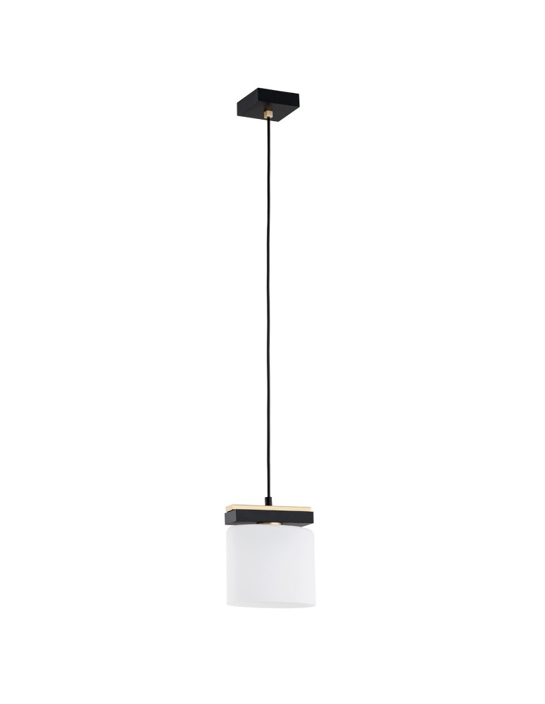 Single pendant lamps - Argon CANOA 1-fl. pendant lamp 1x15W (max) opal mat black 8276 - product kolory-swiatla.pl 2