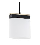 Single pendant lamps - Argon CANOA 1-fl. pendant lamp 1x15W (max) opal mat black 8276 - product 3