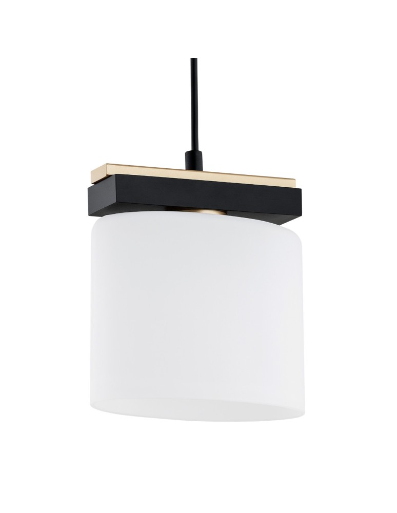 Single pendant lamps - Argon CANOA 1-fl. pendant lamp 1x15W (max) opal mat black 8276 - product kolory-swiatla.pl 3