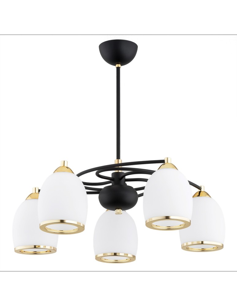 Chandeliers - Argon AVILA PLUS chandelier 5 fl. 5x15W (max) opal mat black structure 2115 - product kolory-swiatla.pl 2
