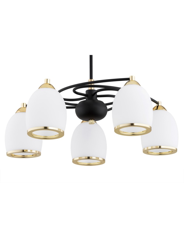 Chandeliers - Argon AVILA PLUS chandelier 5 fl. 5x15W (max) opal mat black structure 2115 - product kolory-swiatla.pl 3