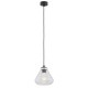 Argon DECORATO lampa wisząca 1 pł. 1x15W (max) transparentny czarny mat 4047